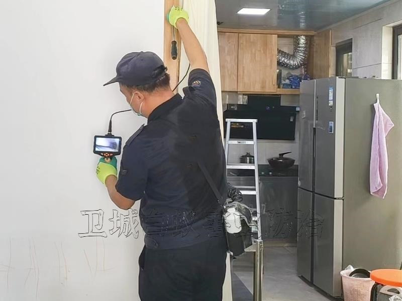 麻涌白蚁防治,中堂白蚁公司,厚街白蚁防治站(卫城虫控)