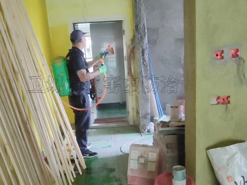 万江专业白蚁公司,万江除白蚁,万江白蚁预防